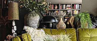 一鍵GET綠植家裝配色公式